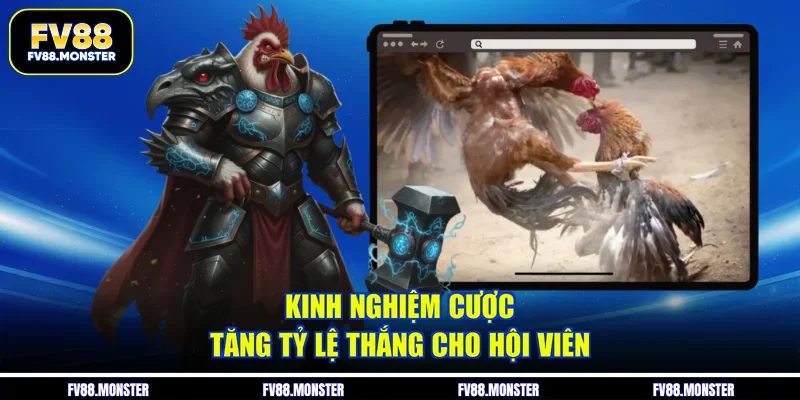 Kinh nghiệm cược tăng tỷ lệ thắng cho hội viên