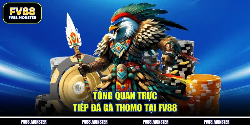 Tổng quan trực tiếp đá gà Thomo tại FV88