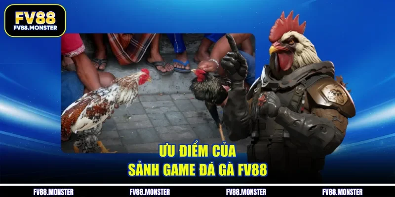 Ưu điểm của sảnh game đá gà FV88